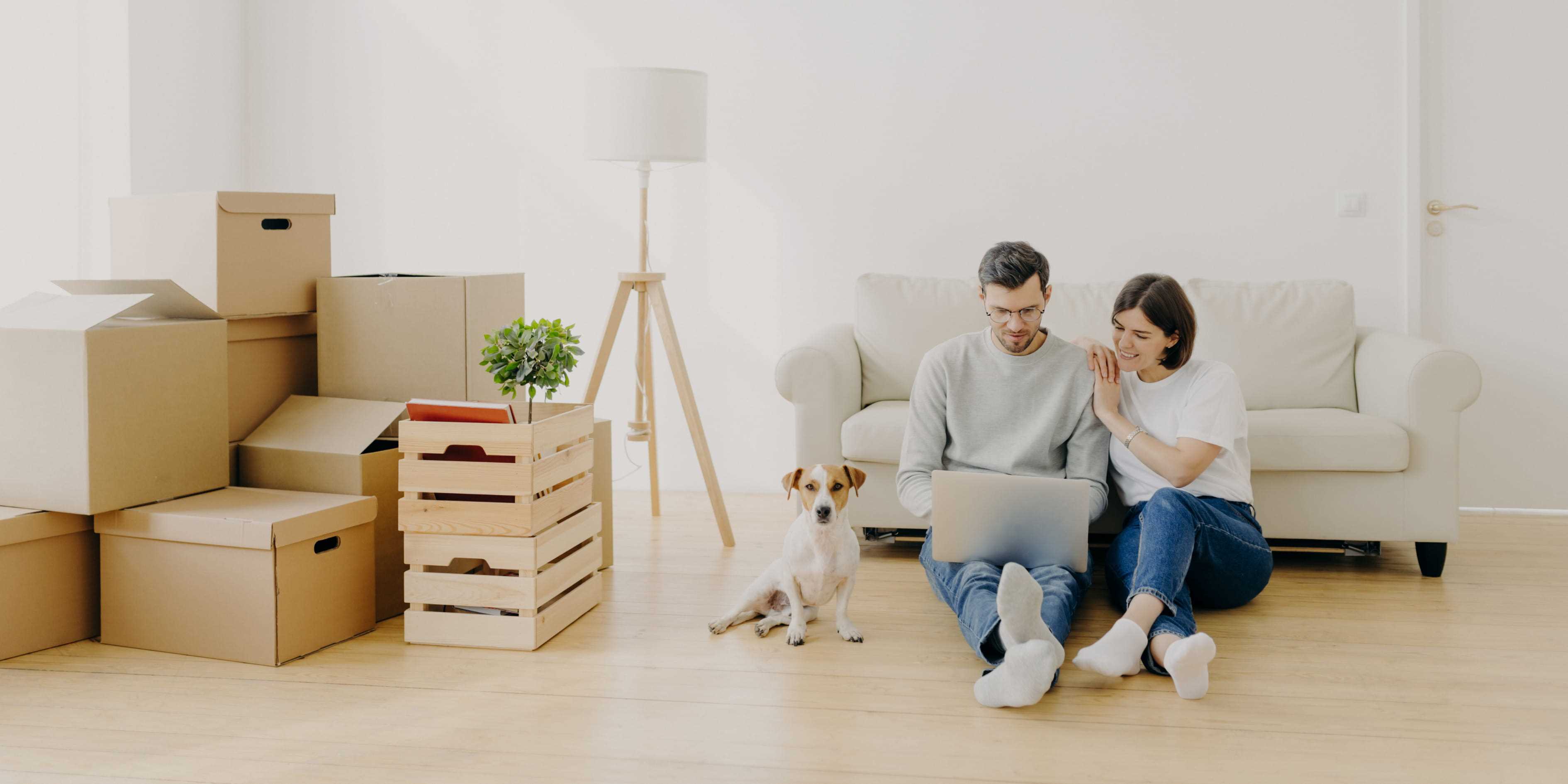 Conseils pour faciliter le déménagement pour les animaux de compagnie