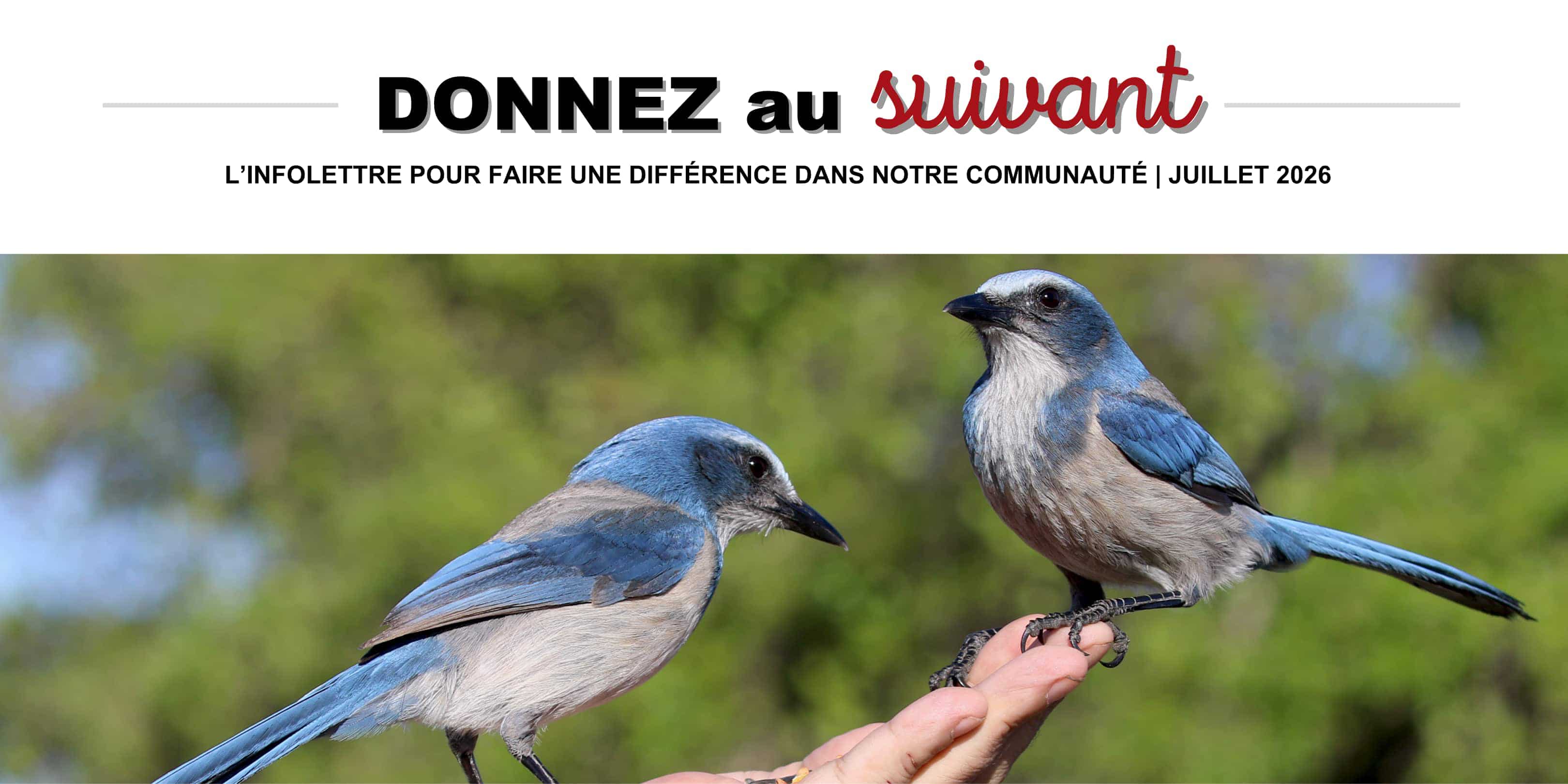Infolettre juillet 2026